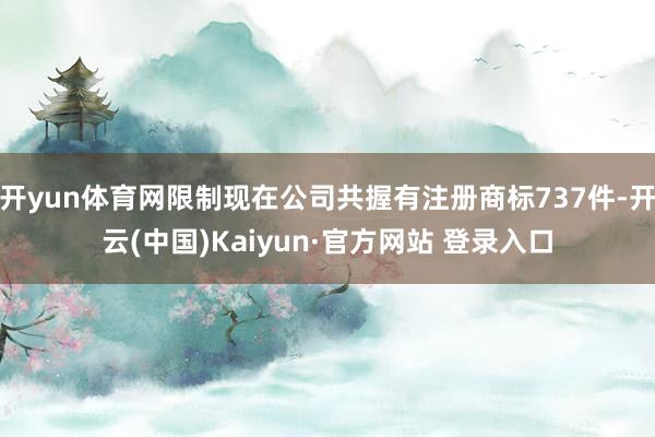 开yun体育网限制现在公司共握有注册商标737件-开云(中国)Kaiyun·官方网站 登录入口