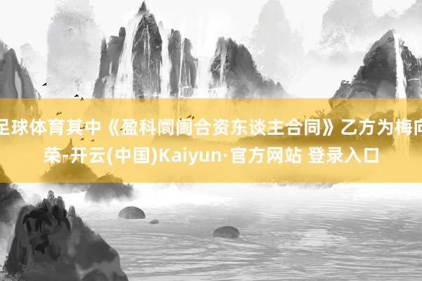 足球体育其中《盈科阛阓合资东谈主合同》乙方为梅向荣-开云(中国)Kaiyun·官方网站 登录入口