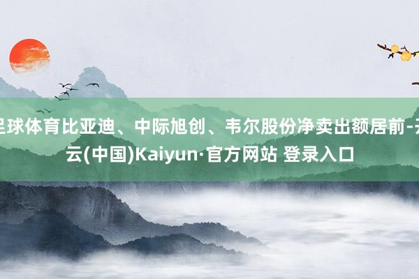 足球体育比亚迪、中际旭创、韦尔股份净卖出额居前-开云(中国)Kaiyun·官方网站 登录入口