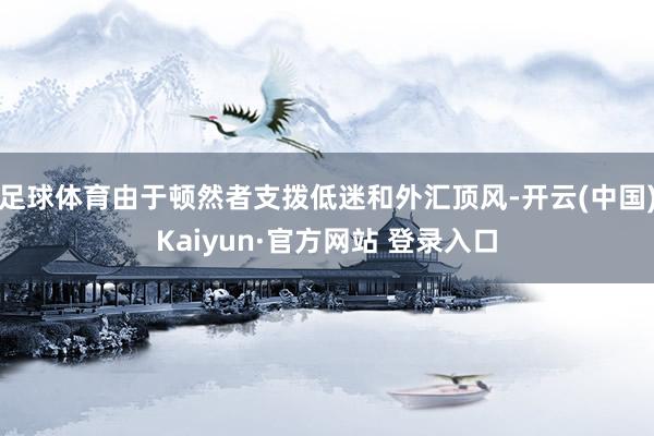 足球体育由于顿然者支拨低迷和外汇顶风-开云(中国)Kaiyun·官方网站 登录入口